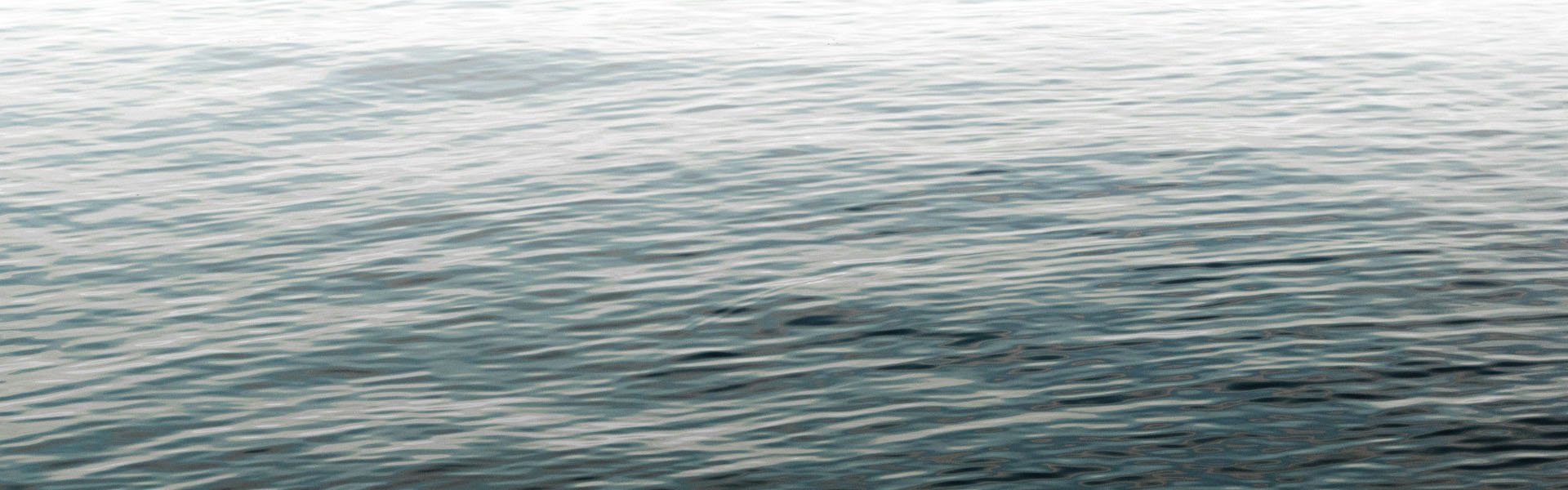 What Changed in a Year